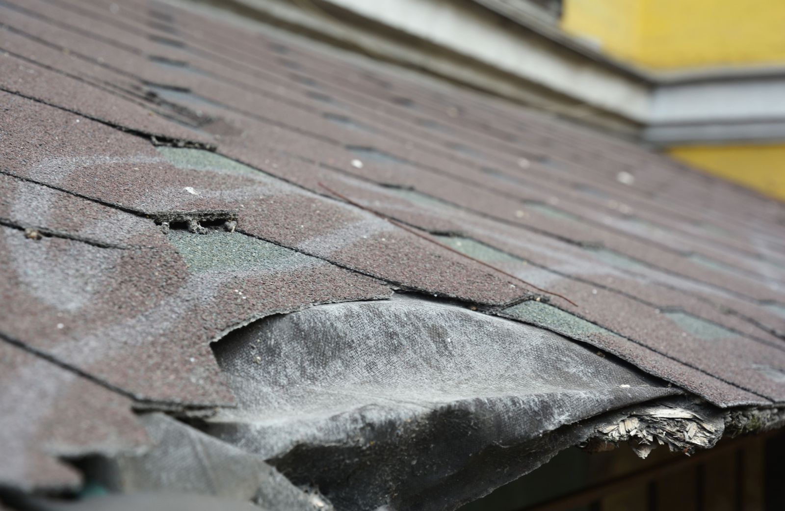 Elevated Roofing Images