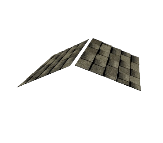 Elevated Roofing Images
