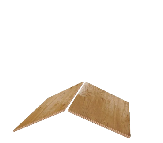 Elevated Roofing Images