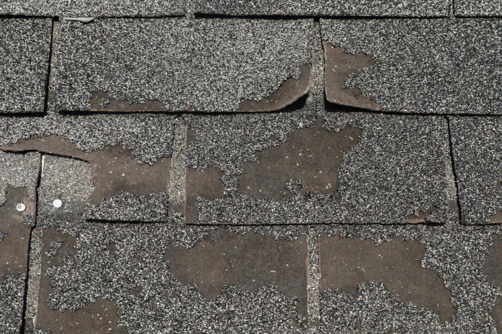 Elevated Roofing Images