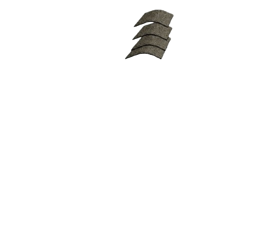 Elevated Roofing Images